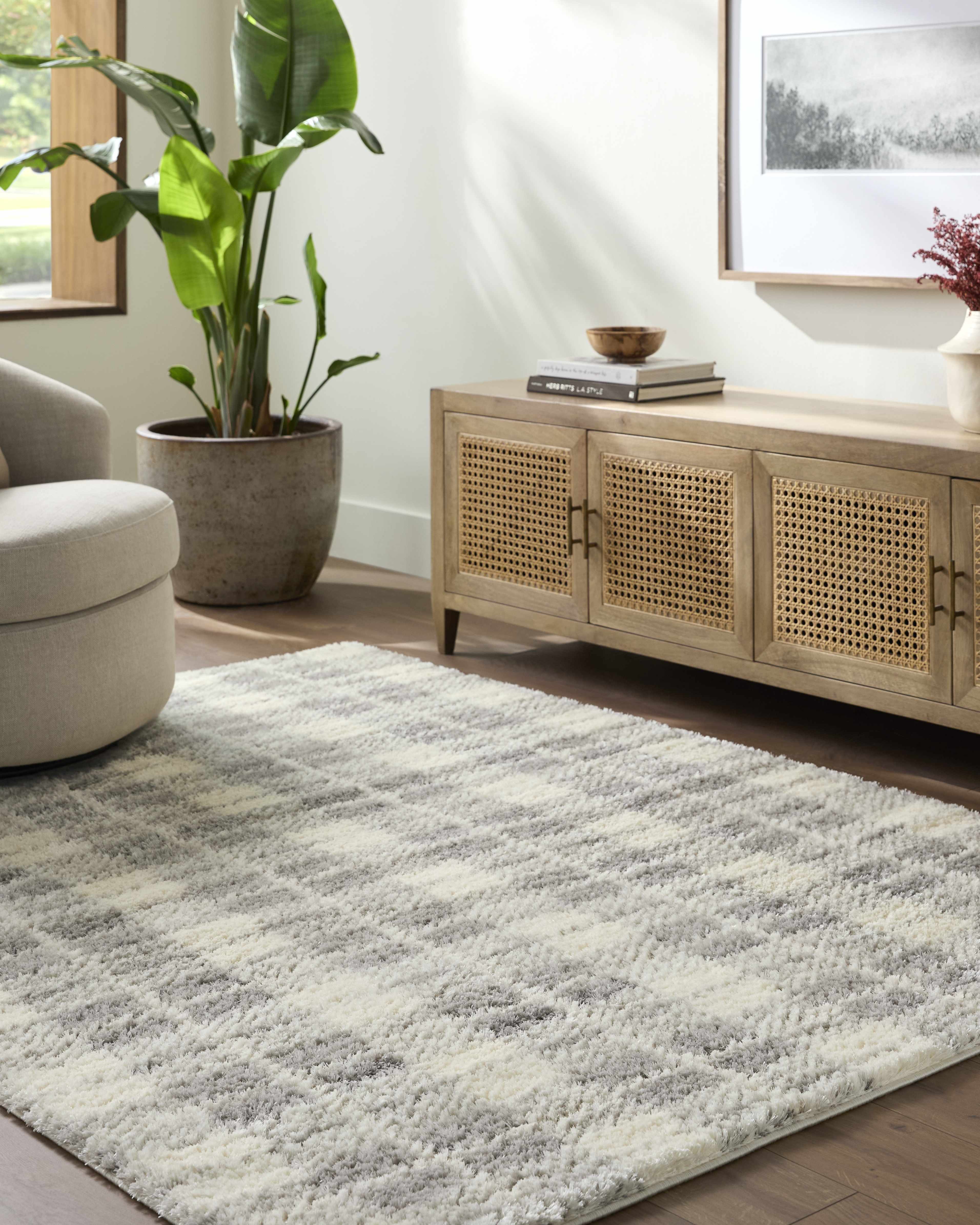Living room with a patterned rug, wooden cabinet, and potted plant.