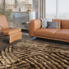 Load image into Gallery viewer, Sunrise Light Brown And Dark Brown Shag Area Rug